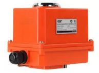 Электропривод неполнооборотный QT-N-003EM-O1-220VAC-U1-MINI